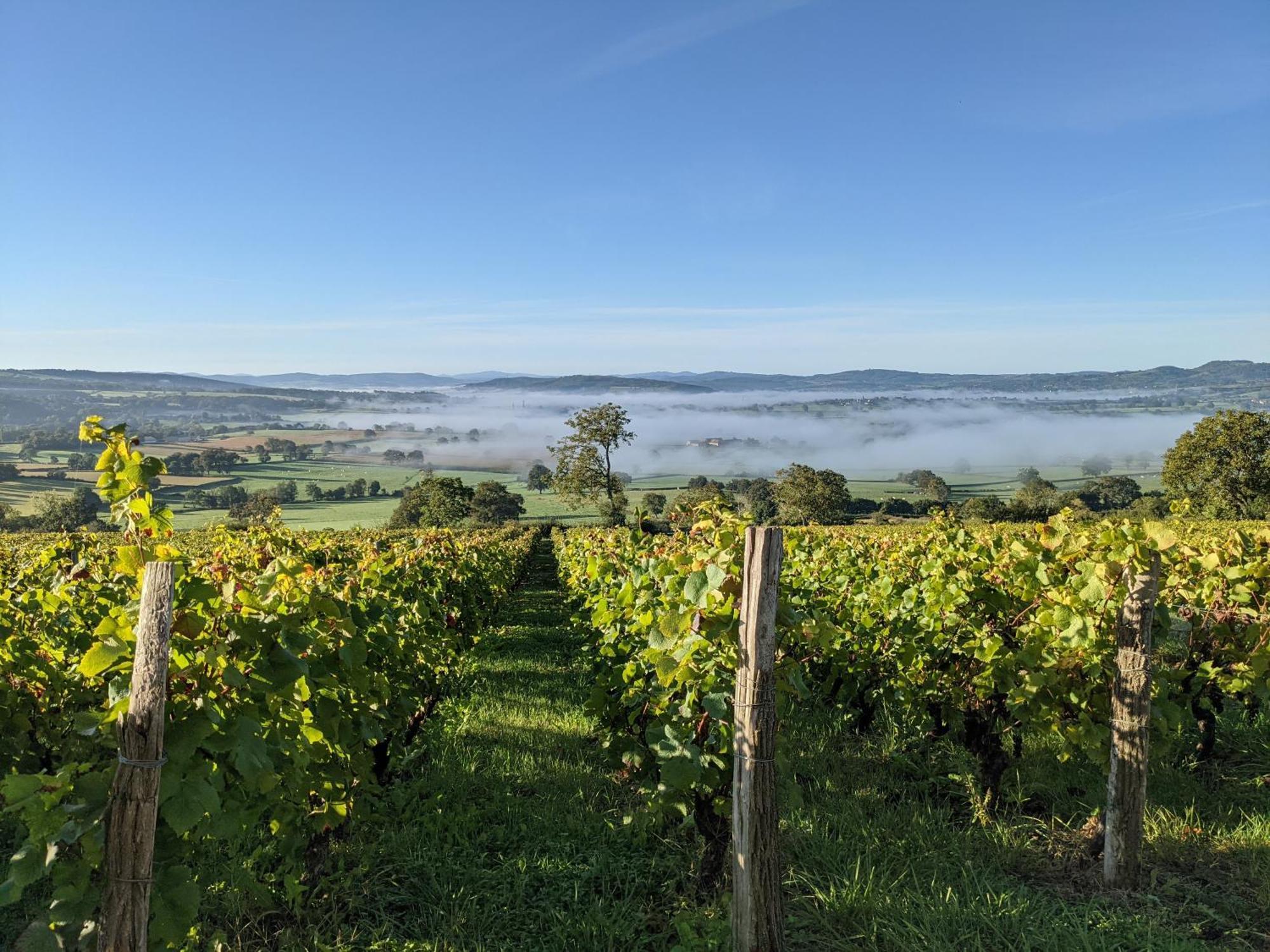 La Terrasse - Old Winemaker'S Cottage In St Gengoux Saint-Gengoux-le-National 外观 照片